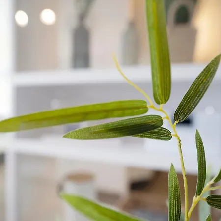 Haus Meeresblick Balge Apartament